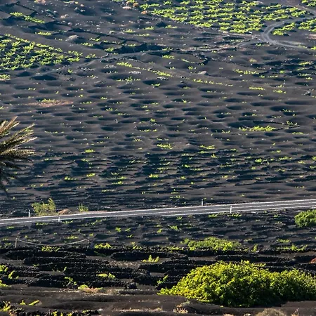 Home2book Modern Puerto Del Carmen, Terrace アパート プエルト・デル・カルメン