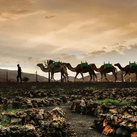 Home2book Modern Puerto Del Carmen, Terrace アパート プエルト・デル・カルメン